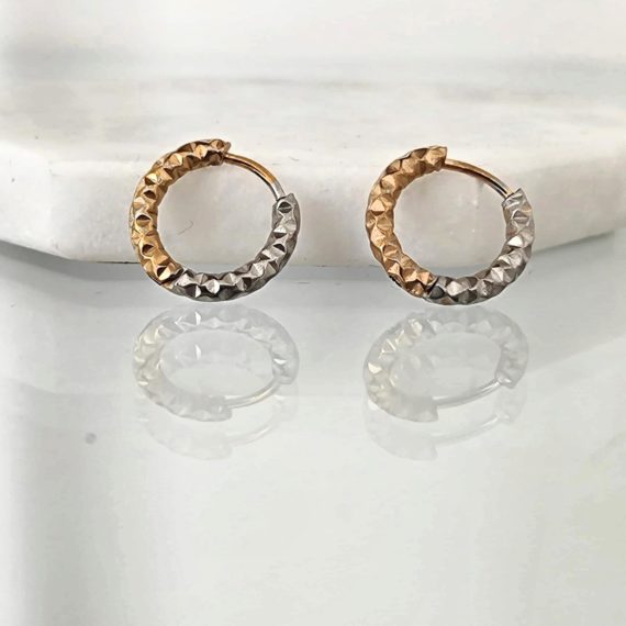 ARETES HOOPS BICOLOR HAMMERED